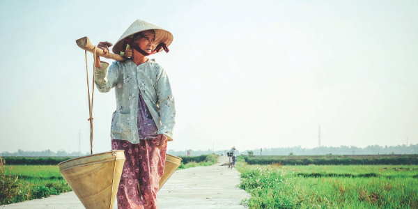 Vietnamese lady